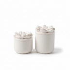 Duo boîtes céramique fleur packshot